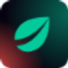 Bitfinex logo